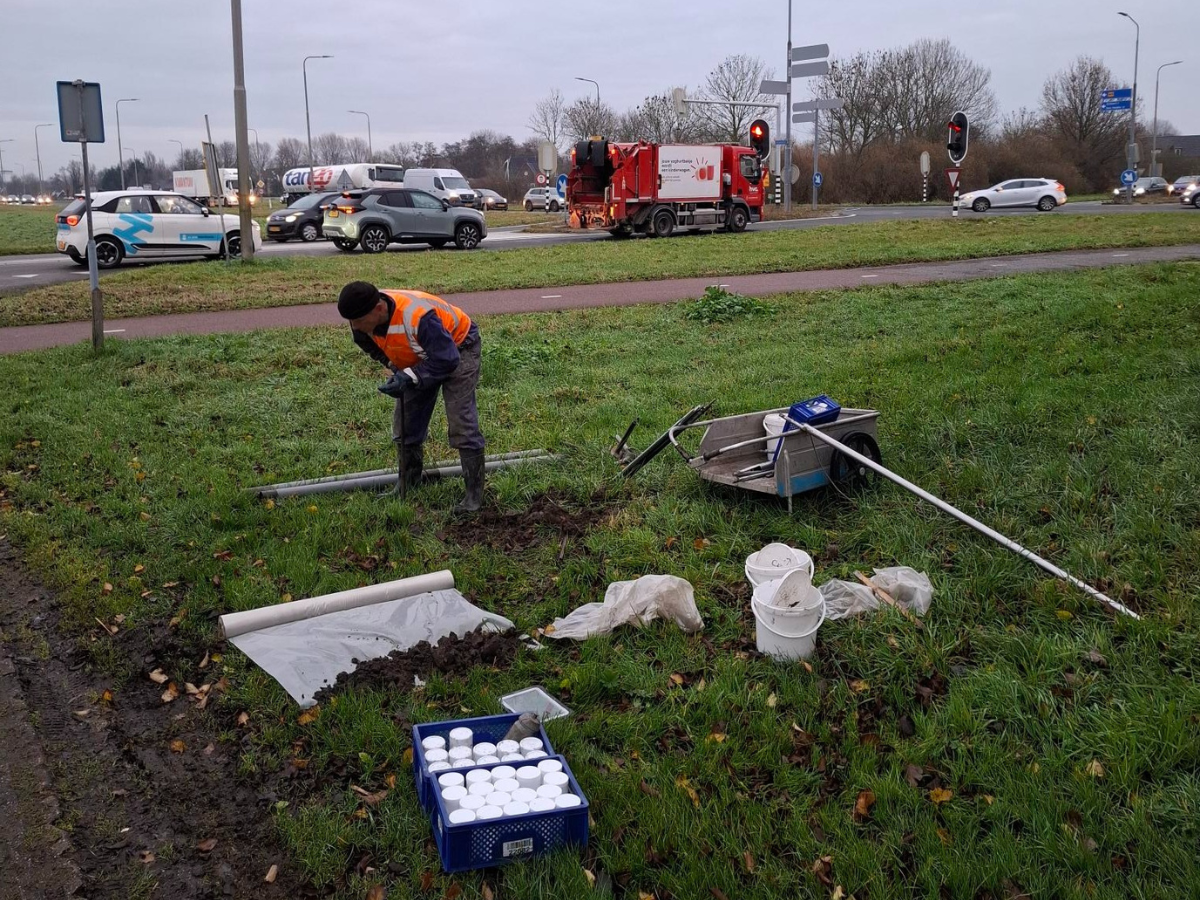 Verkennend bodemonderzoek N9 foto 6