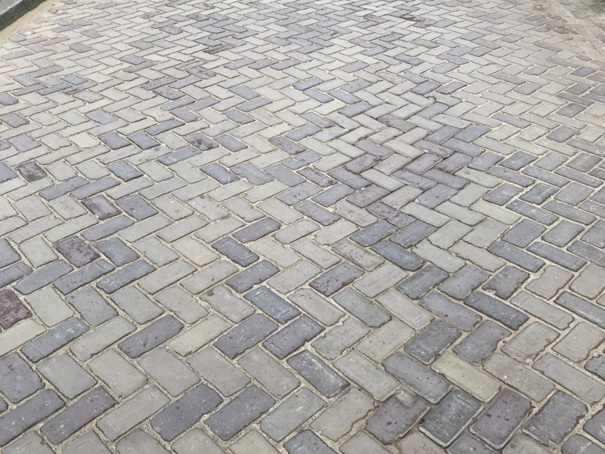 Sperwerstraat Alkmaar (2)