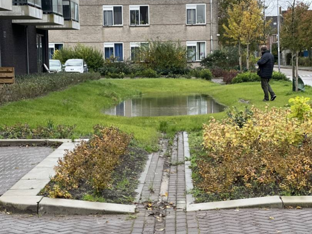 Wadi Sperwerstraat bron Climatescan