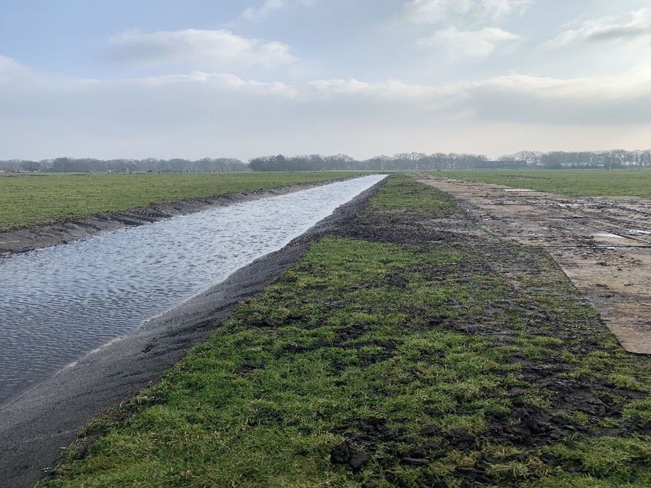 Natuurvriendelijke oever