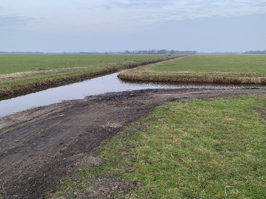 Natuurvriendelijke oever 1