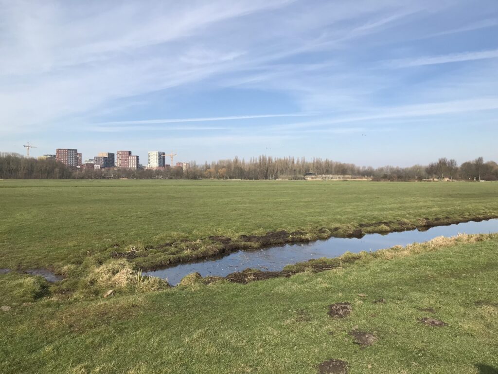 Weidevogelveld