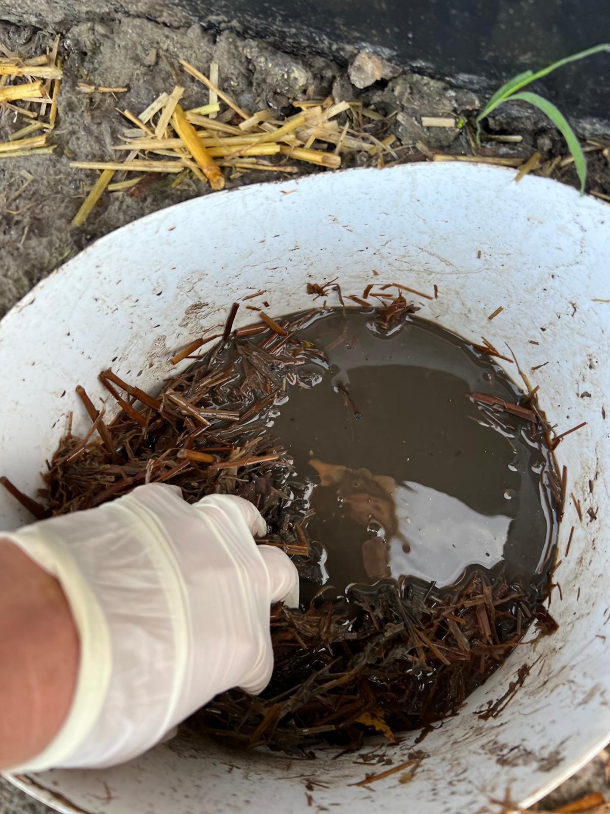 Omgevingsvergunning en begeleiding ecologie (1)