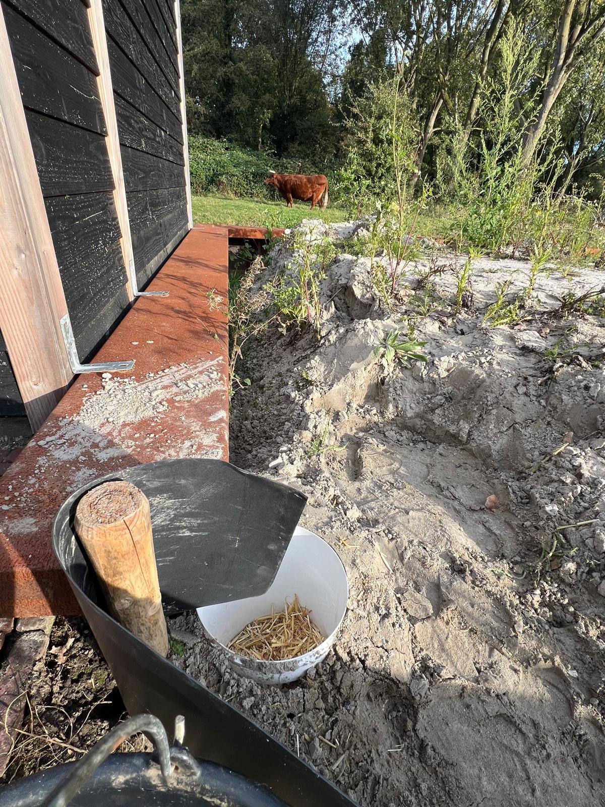 Omgevingsvergunning en begeleiding ecologie (3)
