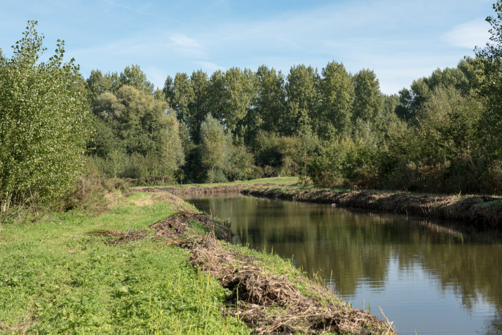 Natuurgebied
