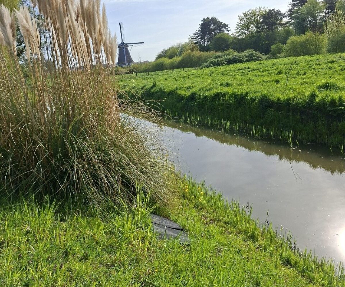 Ecologisch onderzoek Aalsmeer (6)
