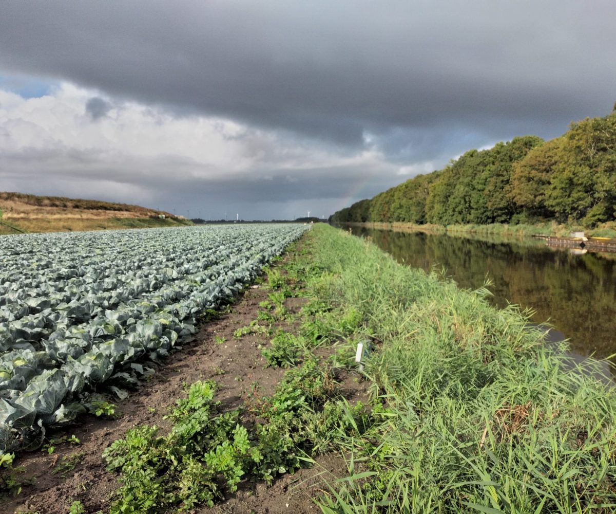 Hooge Hout Hoogkarspel bodemonderzoek