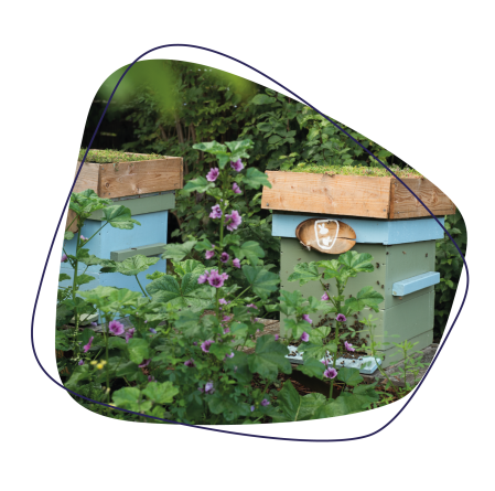 Foto van Prombeez bijenkast met bloemen