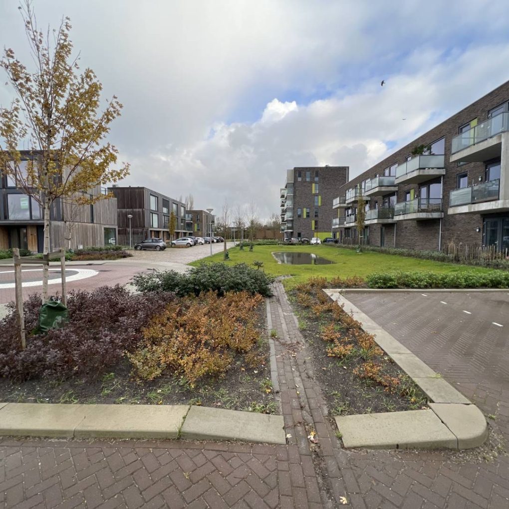 Wadi bron climatescan 2