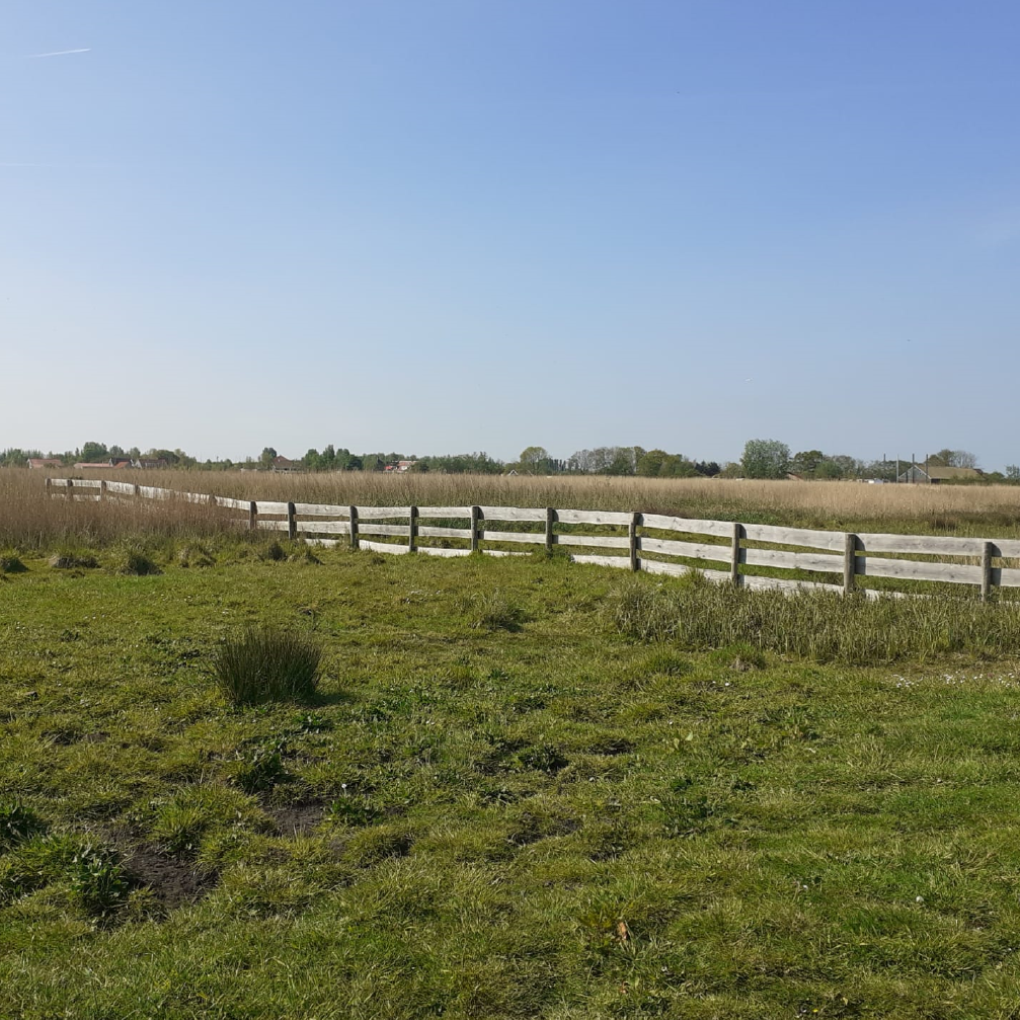 Verkennend bodemonderzoek Middel 201 te Westzaan